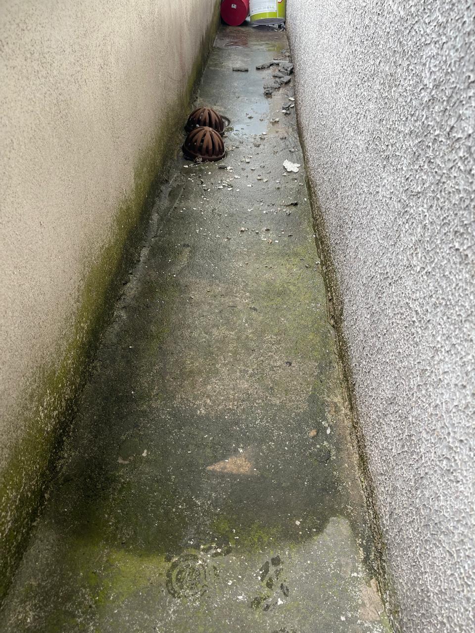 WhatsApp Image 2026-01-17 at 20.40.49.jpeg